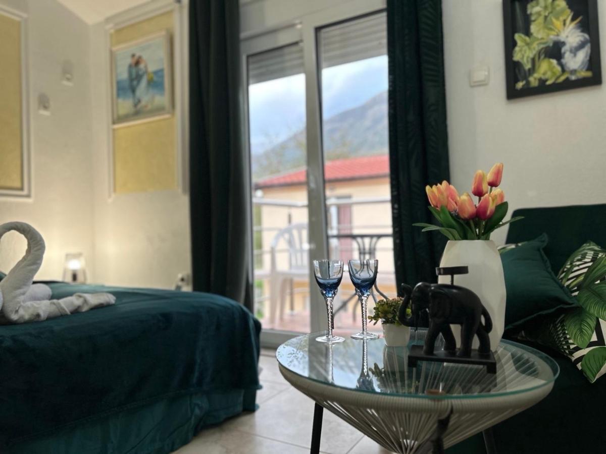 Apartment Vila Aleksandar *